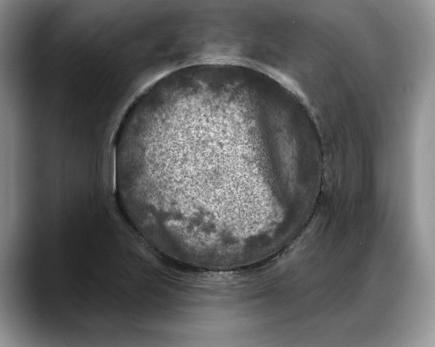 X0000088221223200705292107