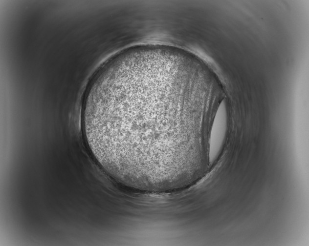 X0000088221224200705292107