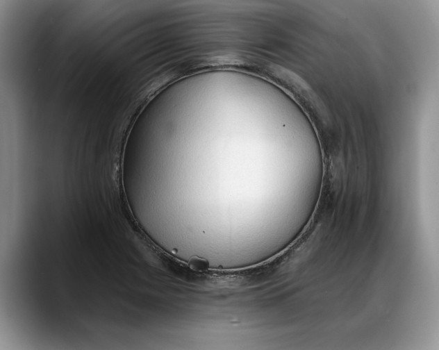 X0000088221225200705292107