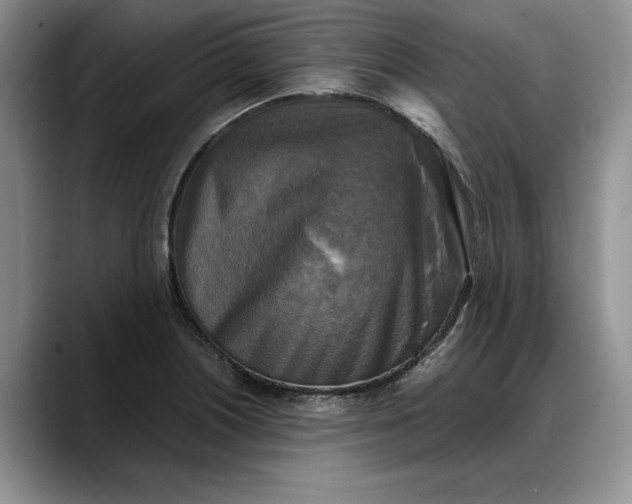 X0000088221226200705292107