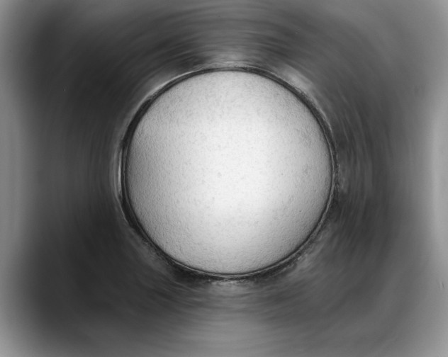 X0000088221227200705292107