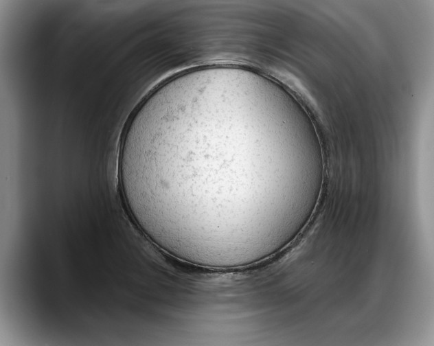 X0000088221228200705292107