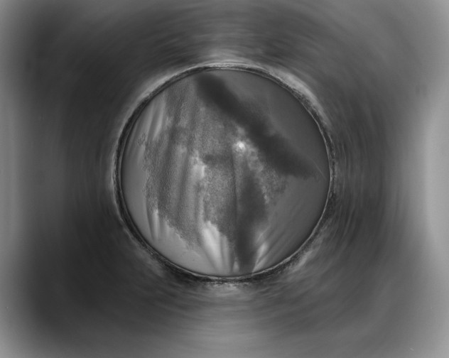 X0000088221231200705292107