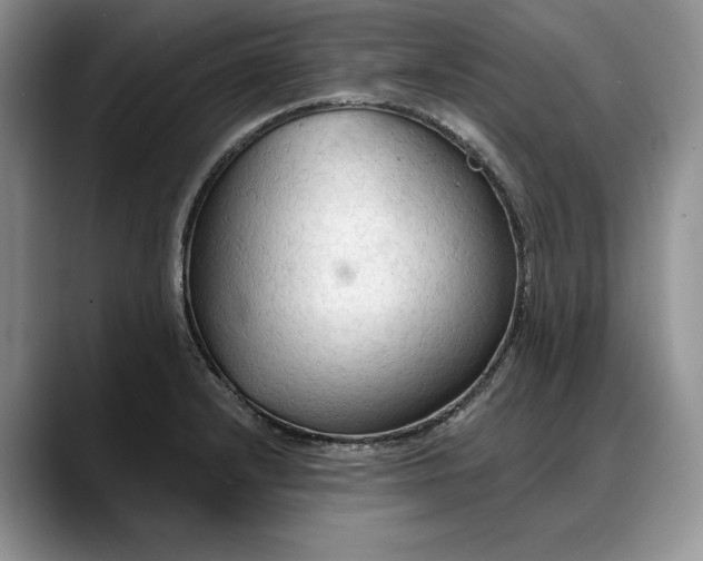 X0000088221232200705292107