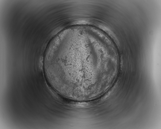 X0000088221233200705292107