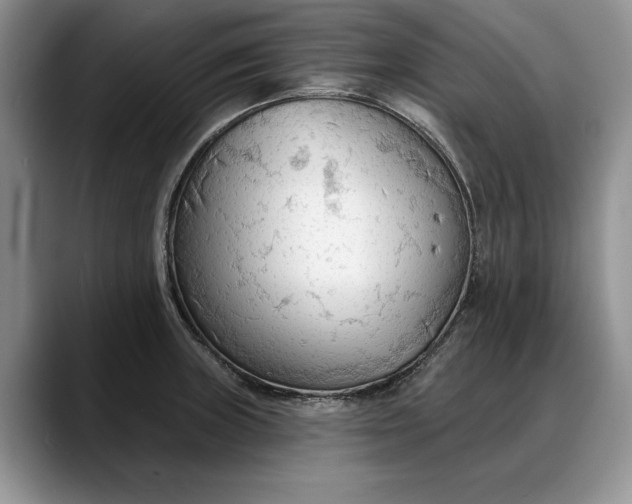 X0000088221235200705292107