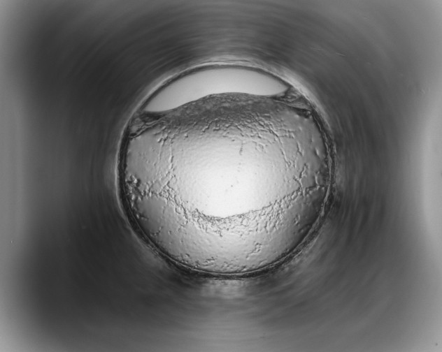 X0000088221237200705292107