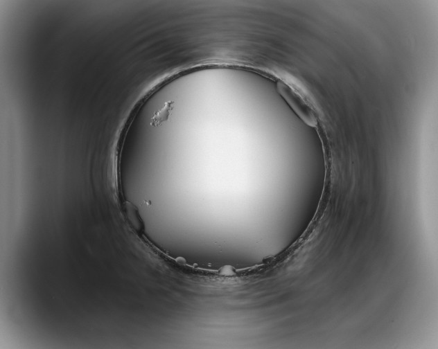 X0000088221238200705292107