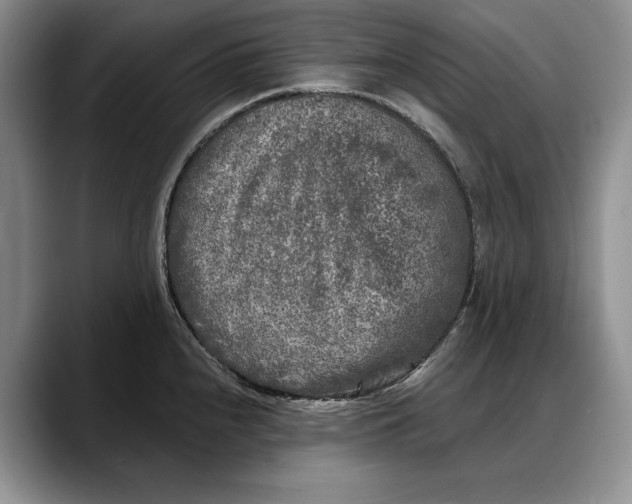 X0000088221240200705292107