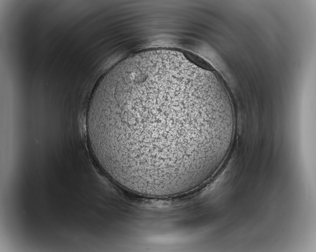 X0000088221241200705292107