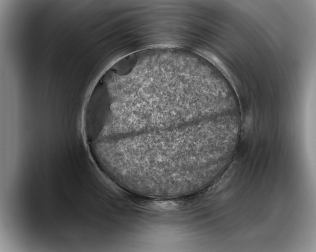 X0000088221243200705292107