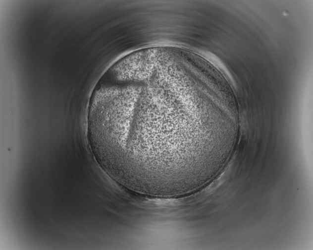 X0000088221244200705292107