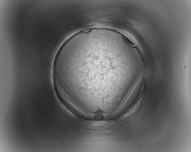 X0000088221247200705292107