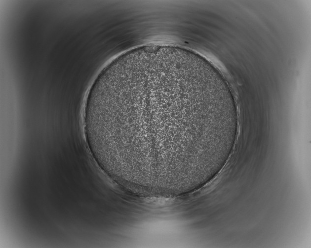 X0000088221248200705292107