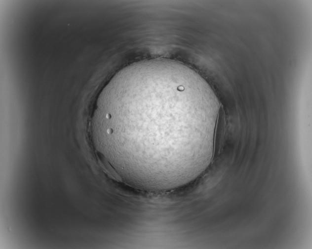 X0000088221249200705292106