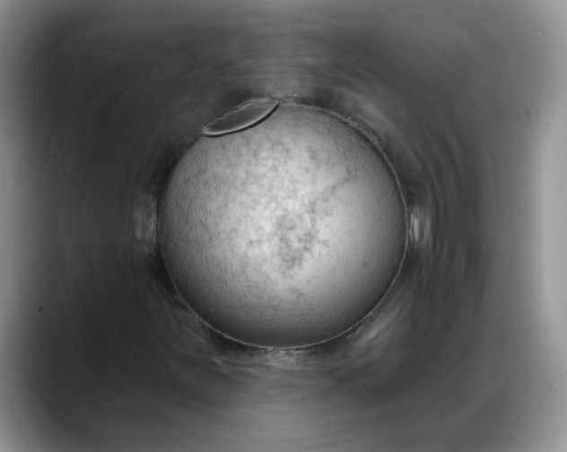 X0000088221251200705292106