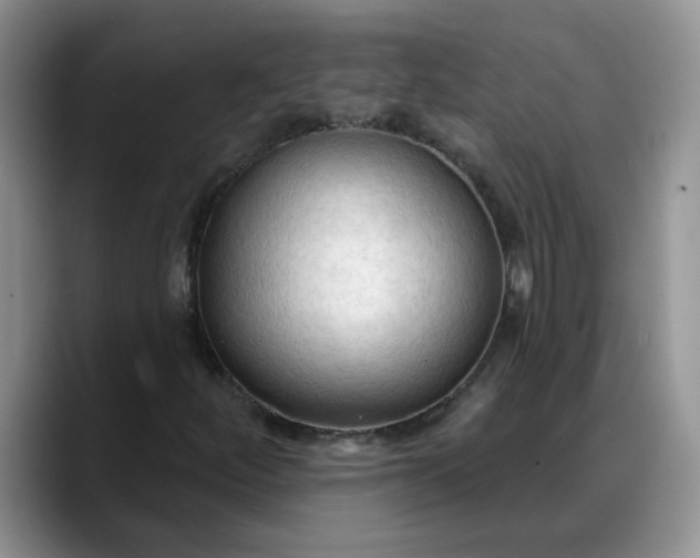 X0000088221252200705292106