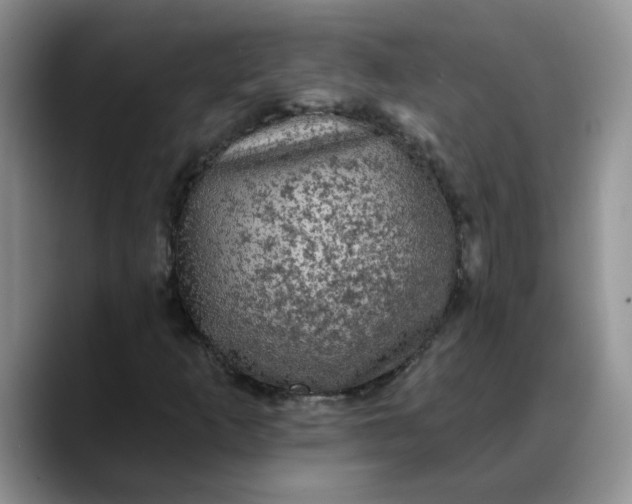 X0000088221253200705292106