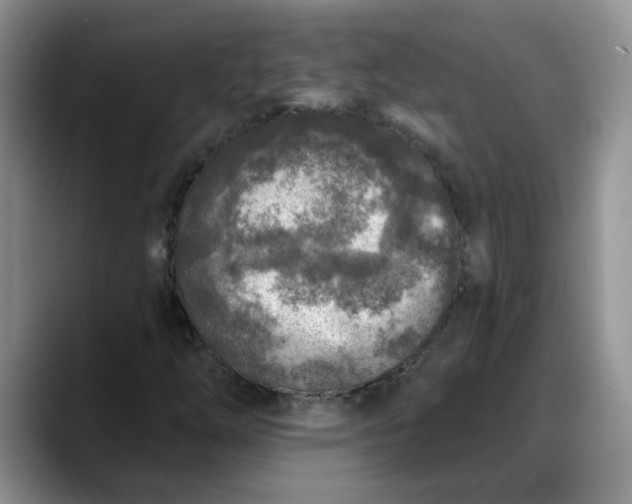 X0000088221254200705292106