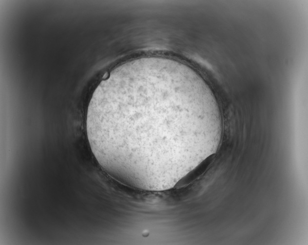 X0000088221255200705292106