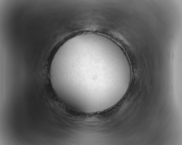 X0000088221256200705292106