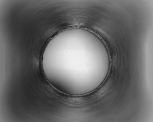 X0000088221257200705292106