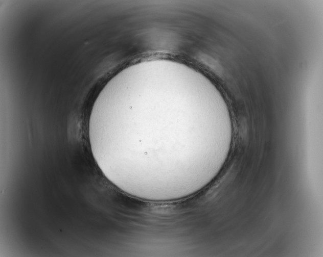 X0000088221258200705292106