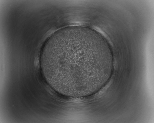 X0000088221259200705292106