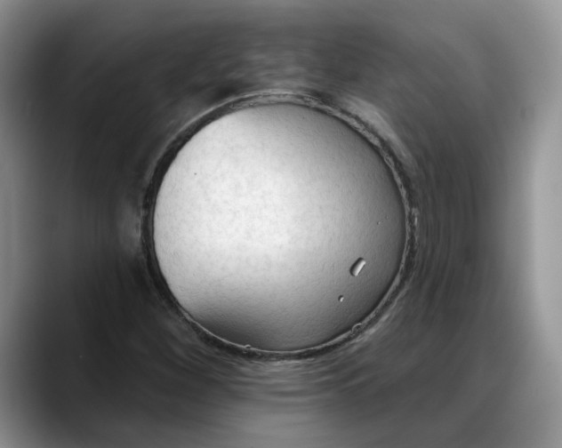 X0000088221260200705292106