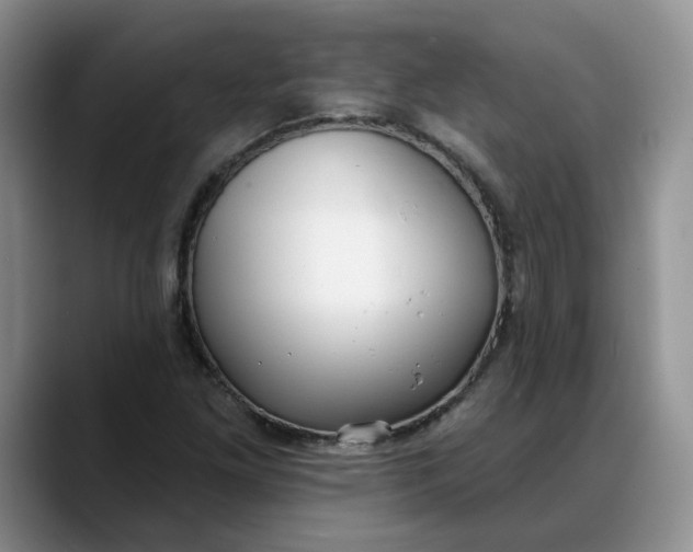 X0000088221261200705292106