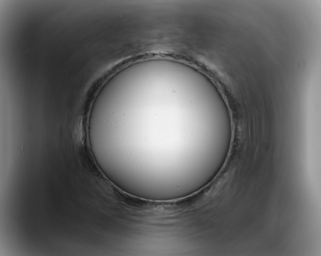 X0000088221262200705292106