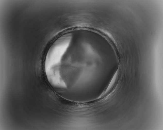 X0000088221263200705292106