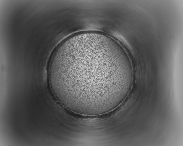 X0000088221268200705292106