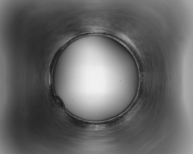 X0000088221269200705292106