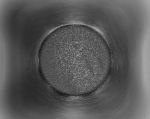 X0000088221271200705292106