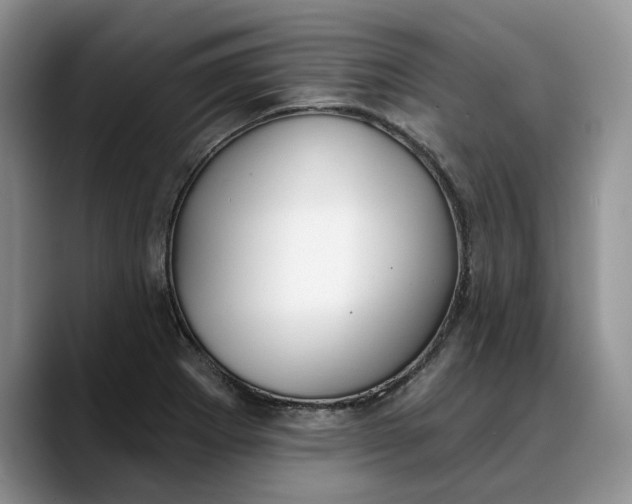 X0000088221273200705292106