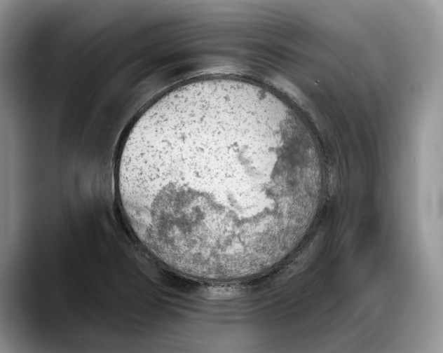 X0000088221274200705292106