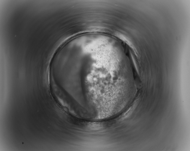 X0000088221275200705292106