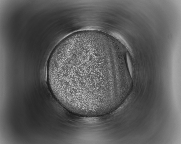 X0000088221276200705292106