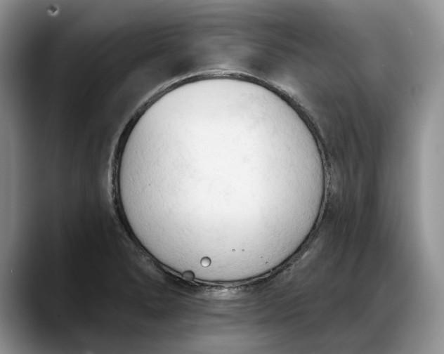 X0000088221278200705292106