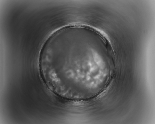 X0000088221279200705292106