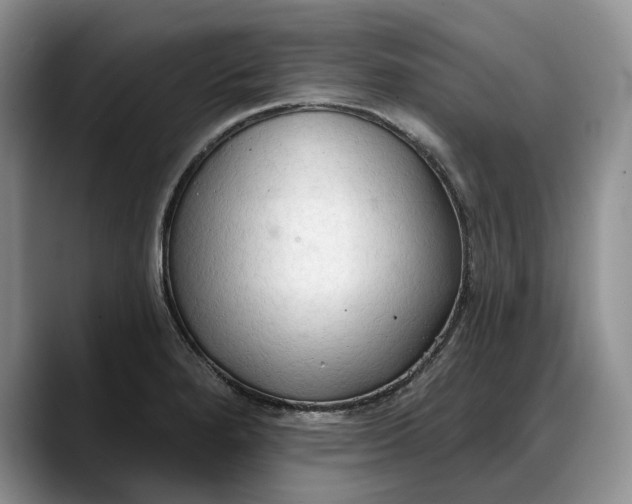 X0000088221280200705292106