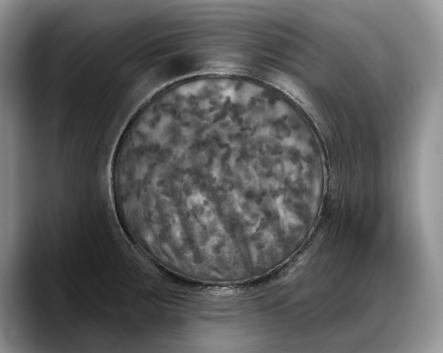 X0000088221283200705292106