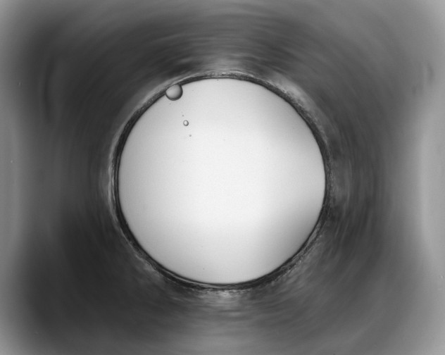 X0000088221286200705292106