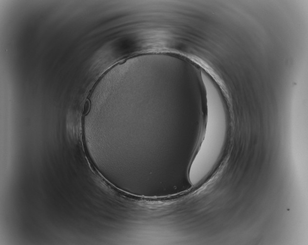 X0000088221289200705292106