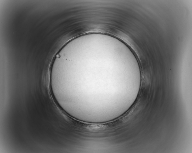 X0000088221290200705292106