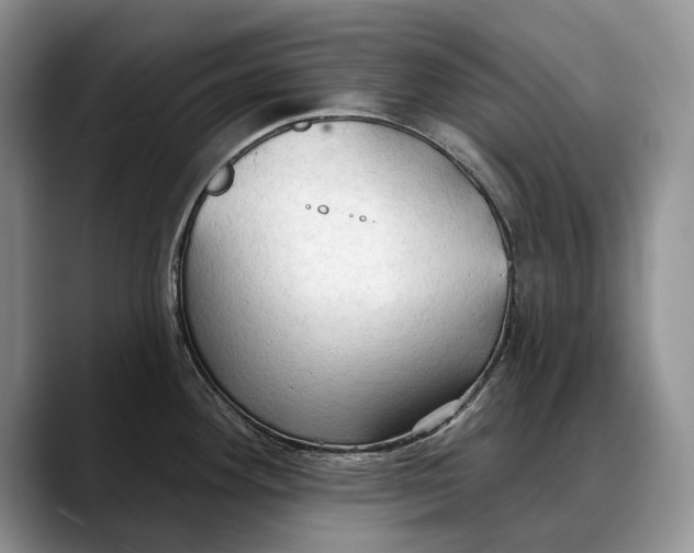 X0000088221292200705292106