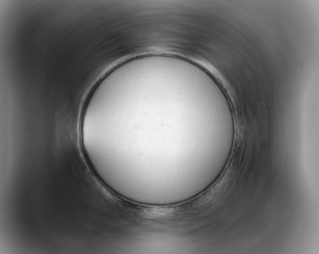 X0000088221294200705292106