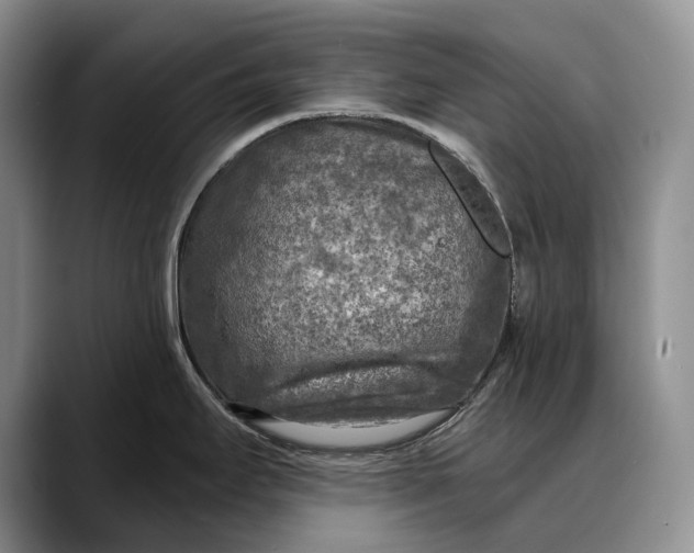 X0000088221295200705292106