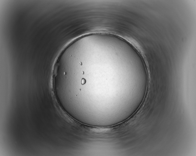 X0000088221296200705292106